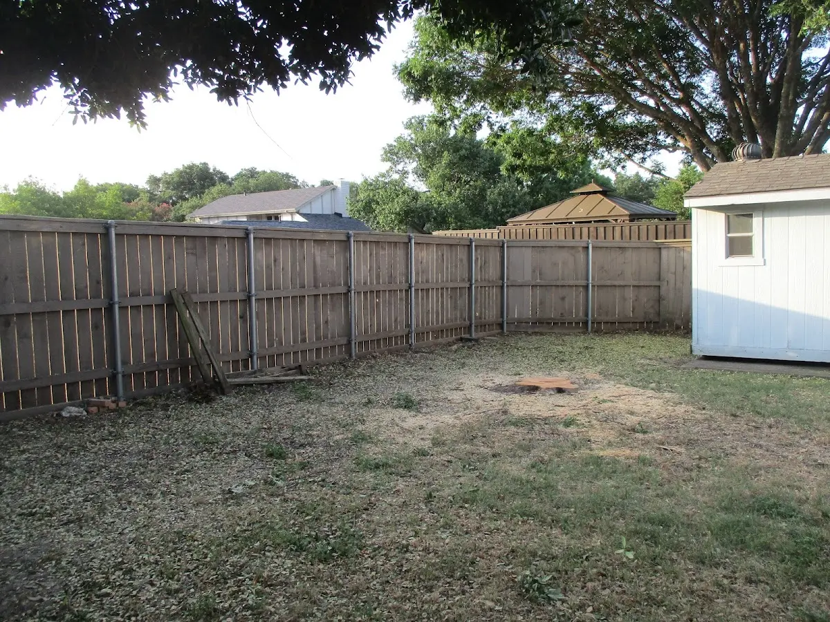 Cleared yard after professional tree removal in Brandon